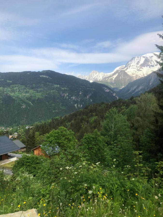 Studio Turquoise Quartier Grattague Vue Montblanc แซ็งต์-แฌร์เวส์-เลส์-แบ็งส์ ภายนอก รูปภาพ